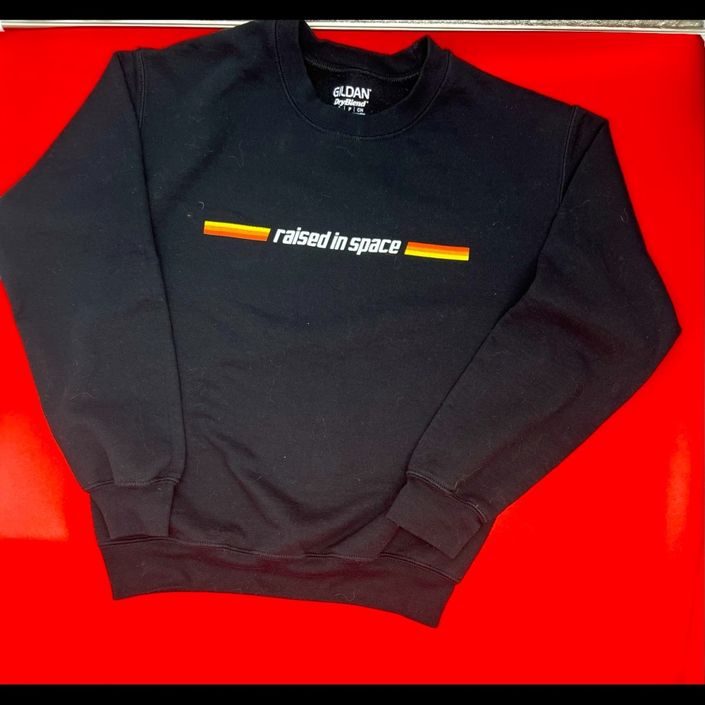 GILDEN DRY BLEND “raised in space crewneck. AmaOng